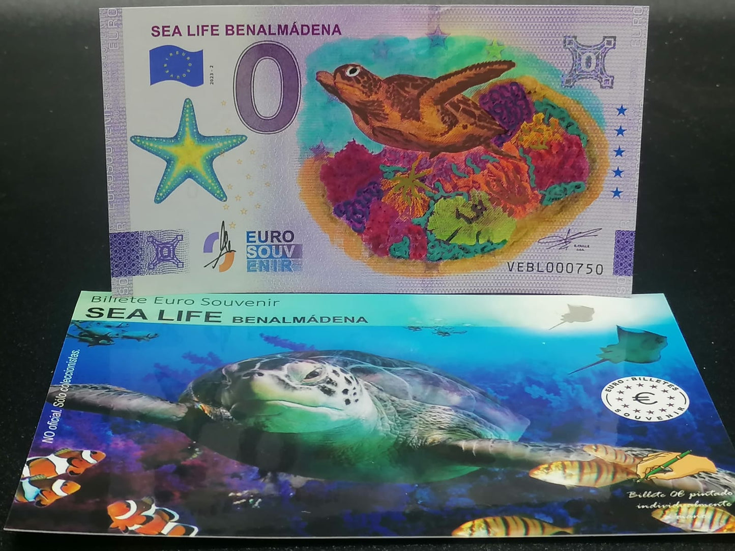 Edición 2023-2 Sealife Benalmádena pintado a mano