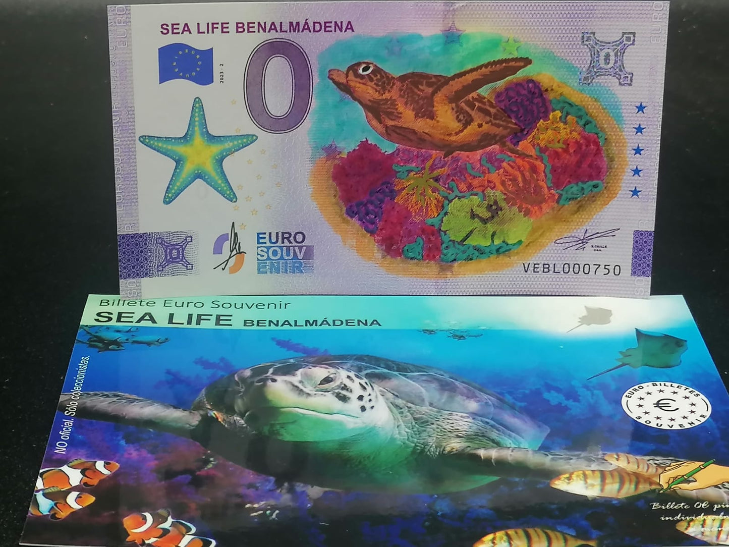 Edición 2023-2 Sealife Benalmádena pintado a mano