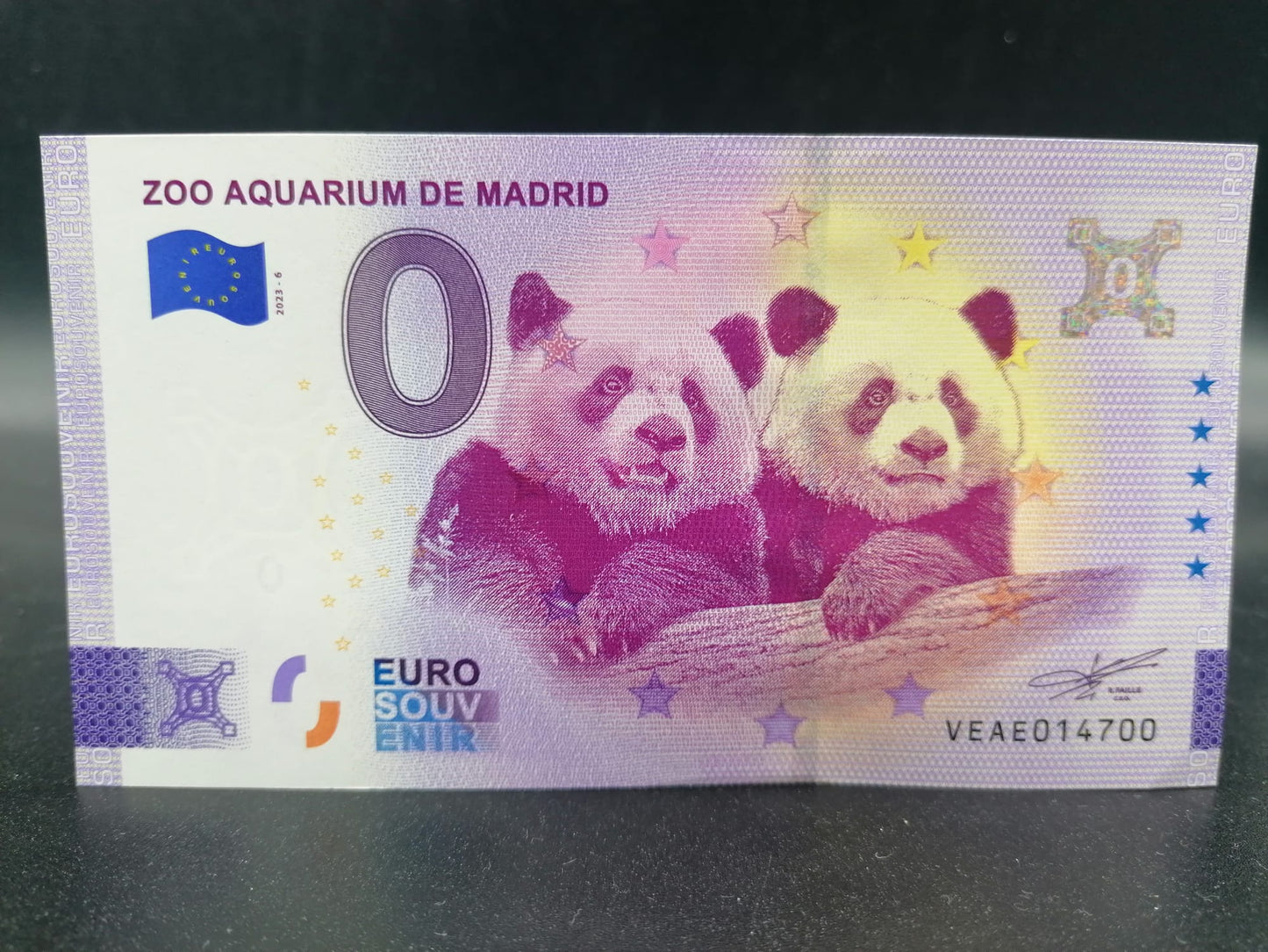Edición 2023.6 Zoo Aquarium de Madrid - PANDAS