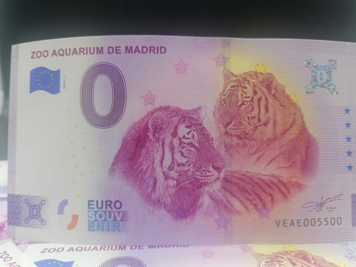 Billete Euro Souvenir Zoo Aquarium de Madrid - TIGRES SIBERIANOS 2024.7